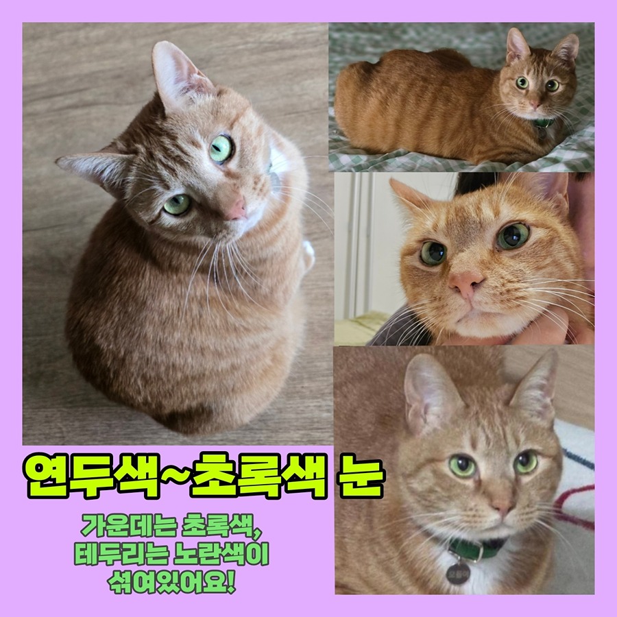탄방역 대전1호선 picture 8