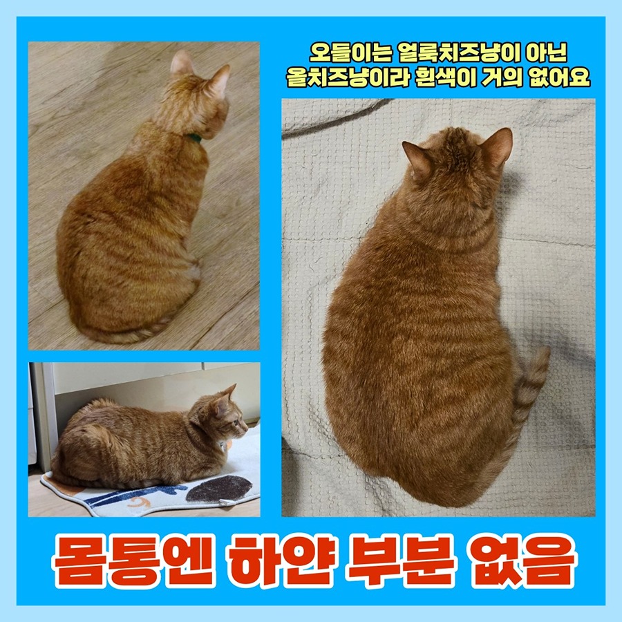 탄방역 대전1호선 picture 7