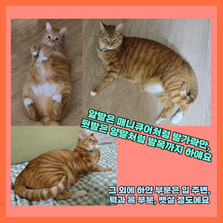 탄방역 대전1호선 picture 6