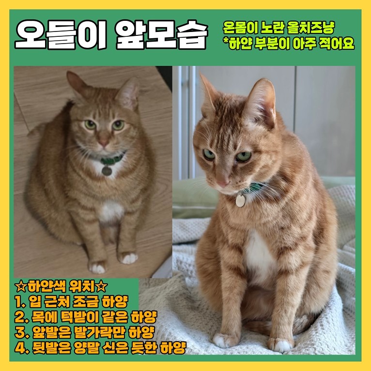 탄방역 대전1호선 picture 5