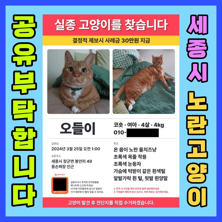 탄방역 대전1호선 picture 3