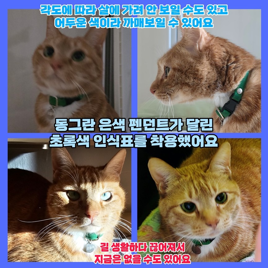 탄방역 대전1호선 picture 9
