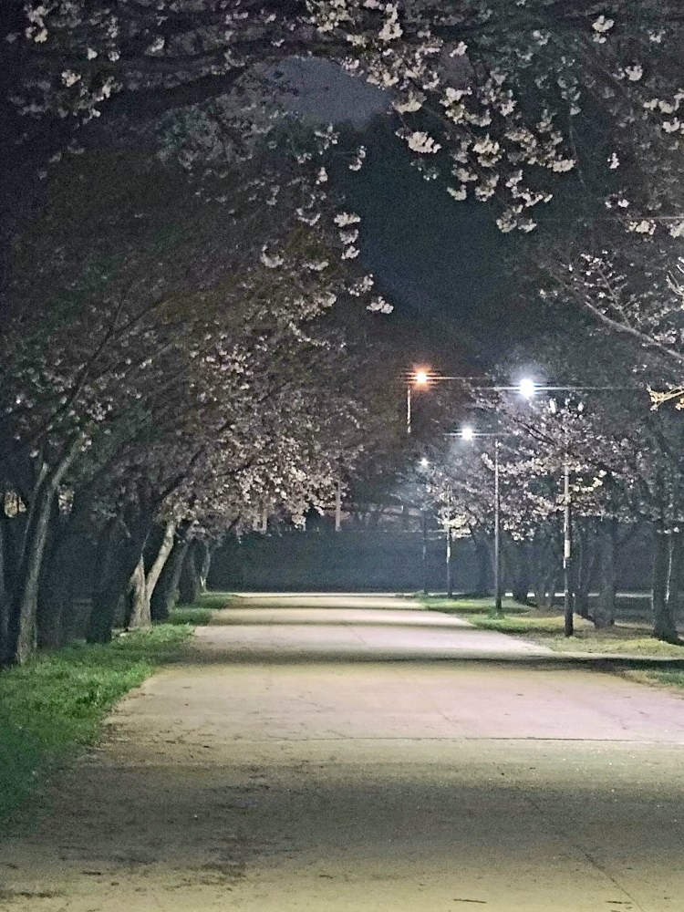 바쁜 일상 속 책을 읽는 시간이 점차 부족하고 핑계는 쌓이고 1년에 12 권의 책을 읽어보자는 취지에서 한 달에 한 권이라도 실천해보려고 모임을 만들었답니다.

 가입하시는 분은 기본 정보, 자소서 샘플 복사하셔서 작성해 주시고 함께 즐겁게 모임 생활 즐겨봐요~