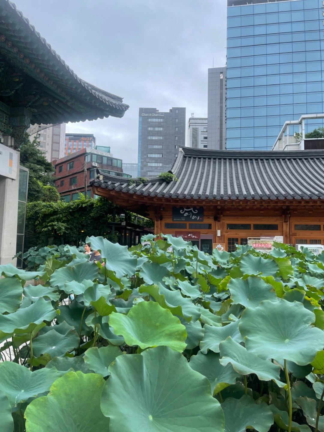 주방 아르바이트 1명 구합니다.