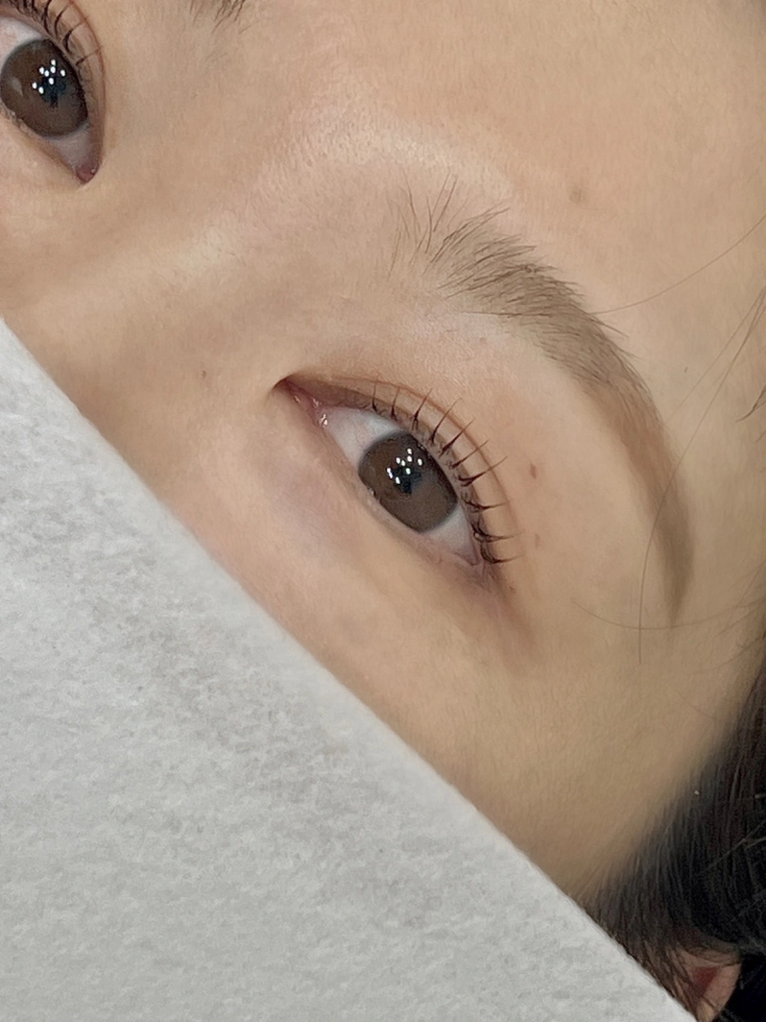 속눈썹펌 모델 구합니다