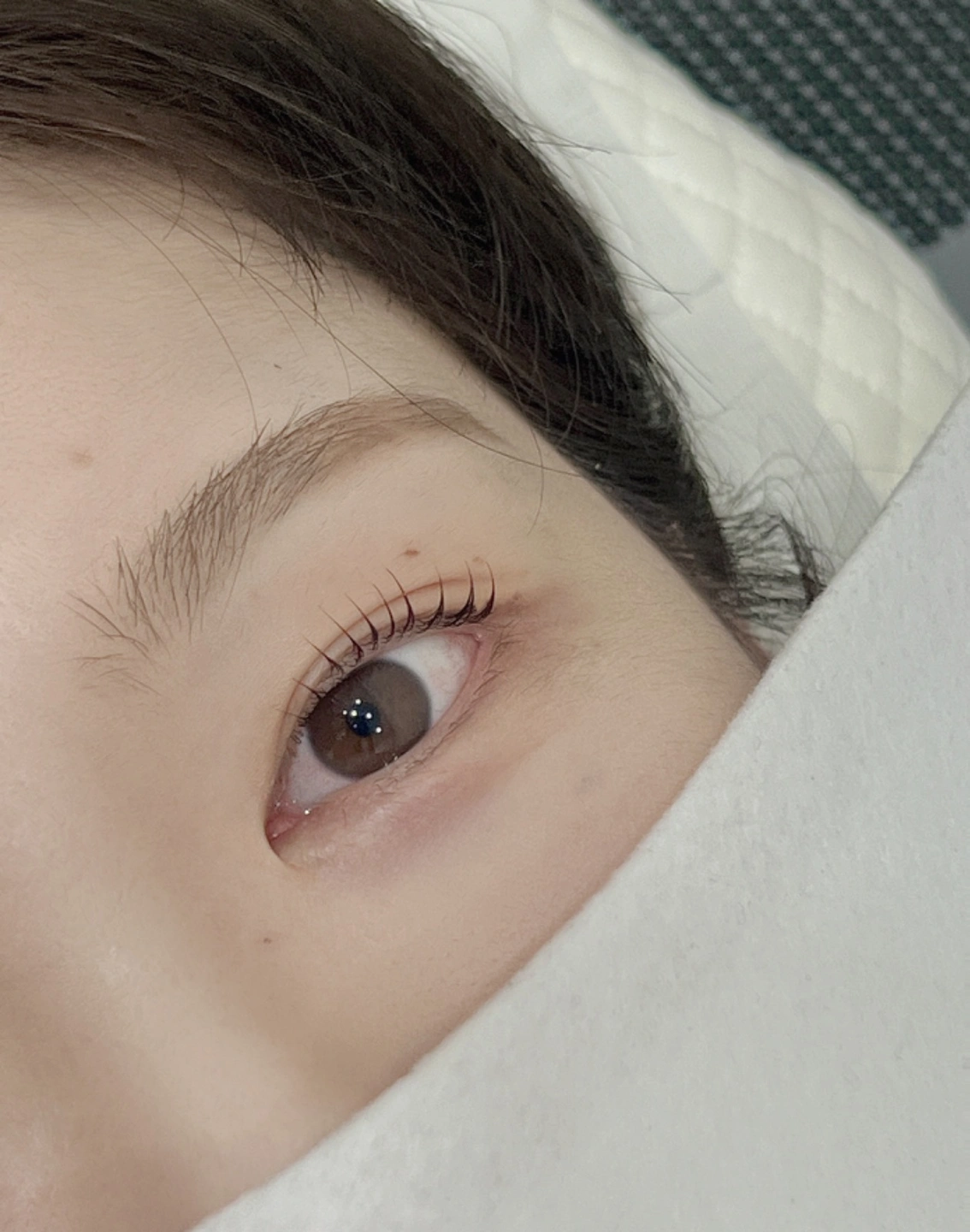 속눈썹펌 모델 구합니다