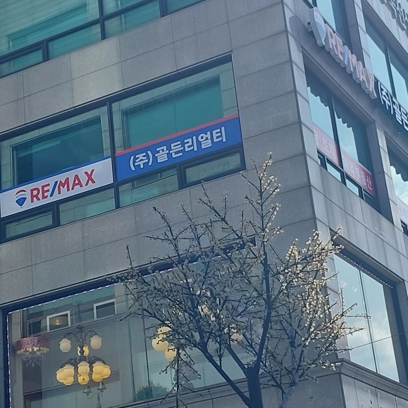 사무실 일반 사무 (컴퓨터 활용 능력자 우대)