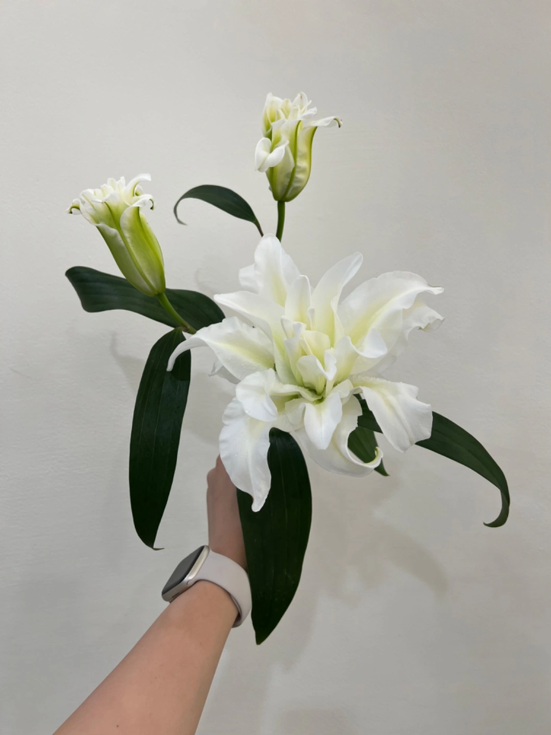 단순 반복 작업 알바구합니다(금요일 장기알바)