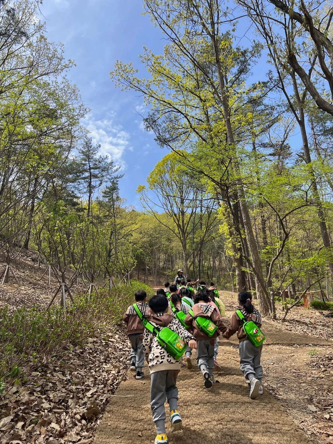 (급구)유아숲놀이 산글방글 보조선생님
