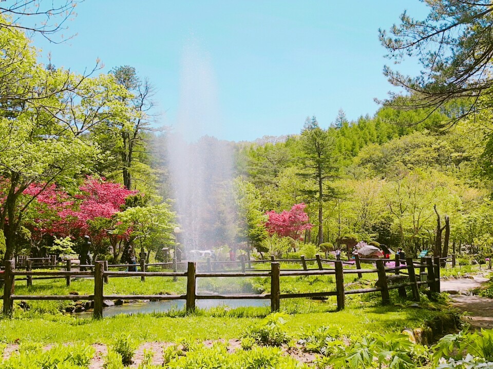 주방**구합니다.(제일식육식당.상모사곡점) 공고 썸네일