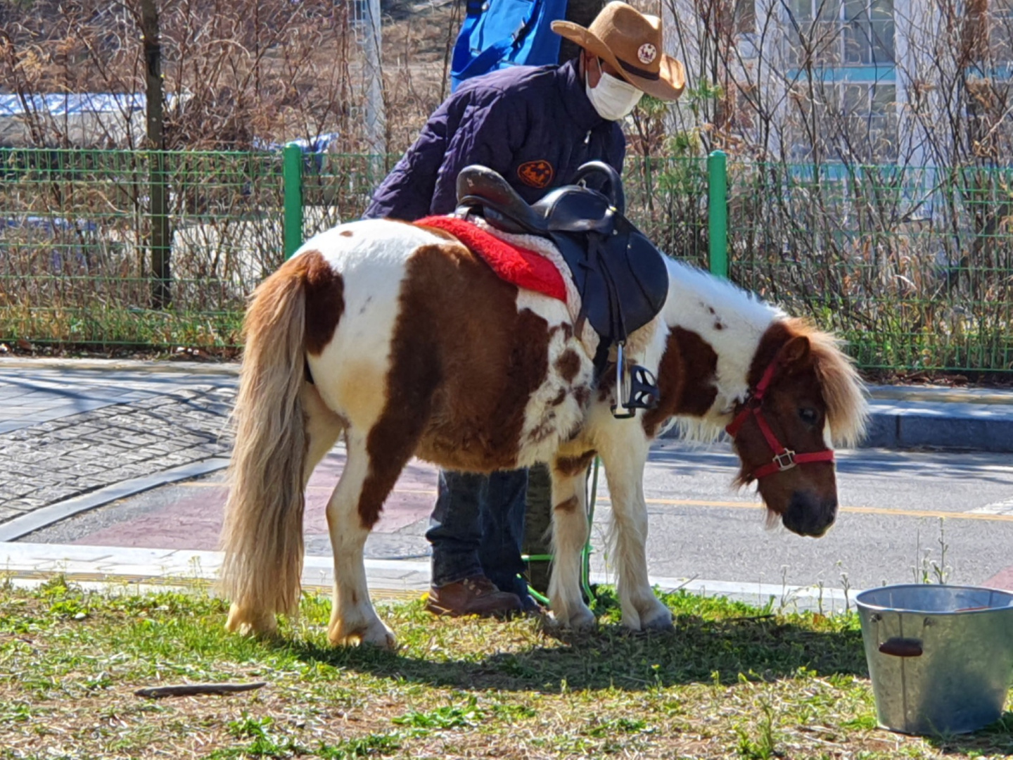 성동면 농업회사법인작은말학교유한회사 아르바이트 장소 (2)