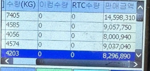 양념육 행사팀장 모집