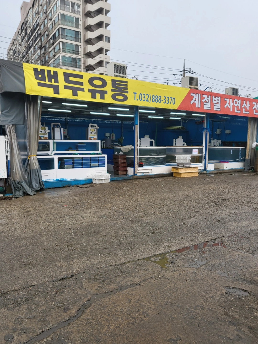 수산물 도매 (연안부두) 주간 직원을 구합니다