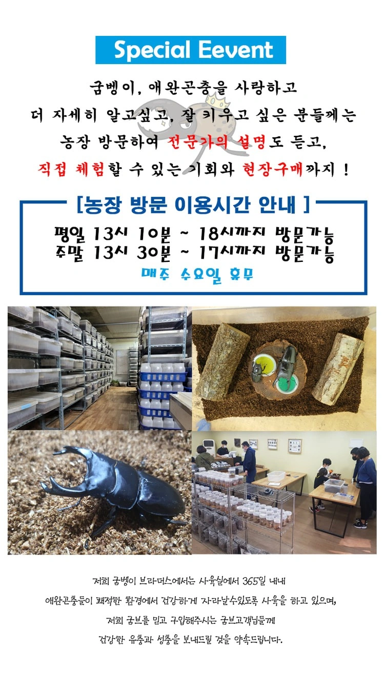 곤충농장 함께 젤리 주실분모집합니다