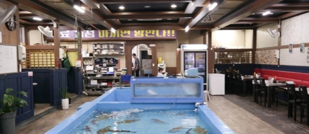 목.금.토.일 홀써빙 알바 구합니다