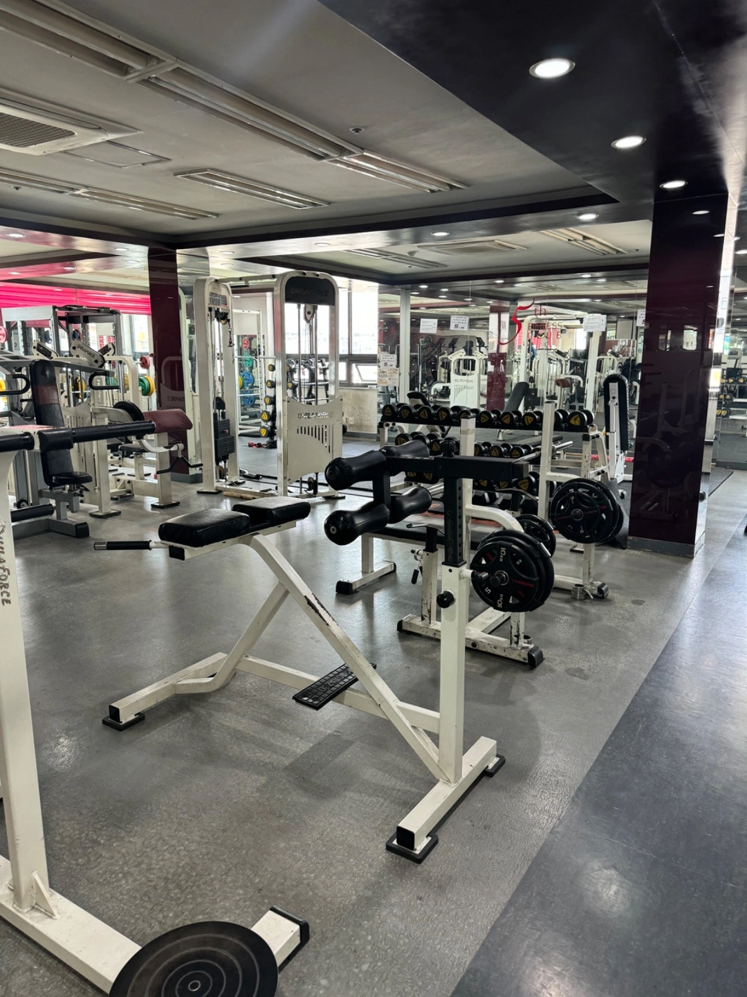 휩스피트니스 오후 근무자 구합니다