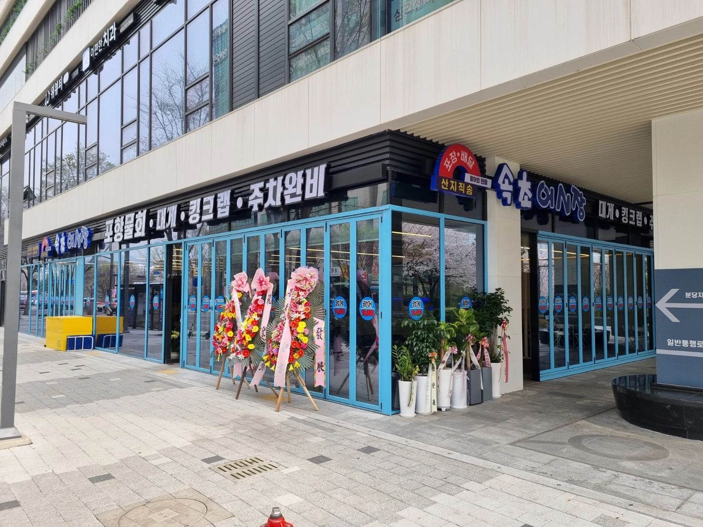 속초오징어어시장 수내점에서 홀서빙 파트타임 구합니다.