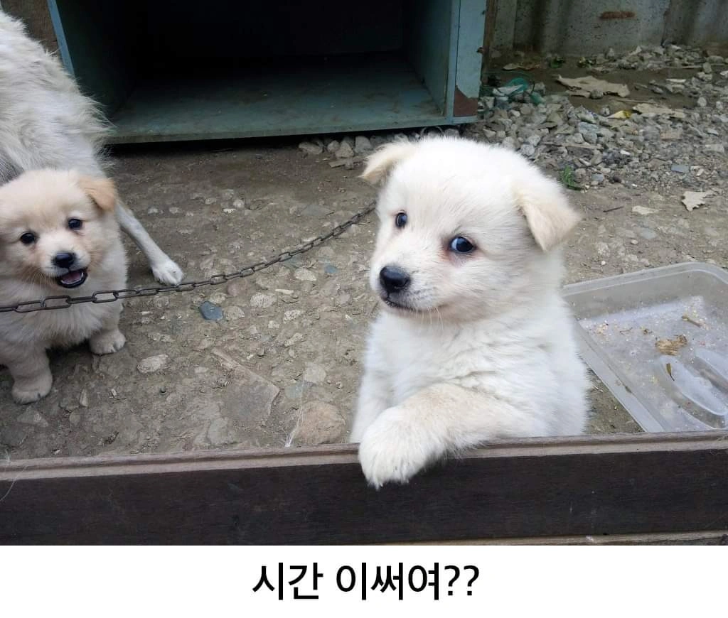 잔디 식재및 야외작업 하실분 목요일 하루