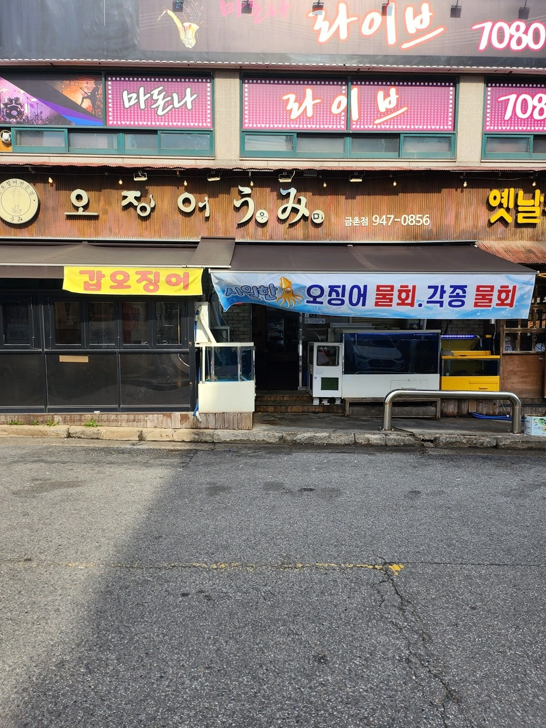 오징어우미 주방보조(횟집보조)구합니다