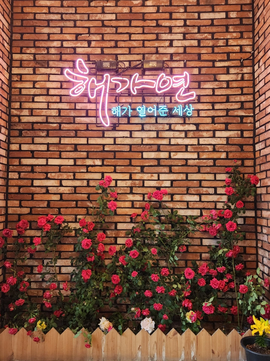 주말 단기 홀서빙 알바 구합니다.