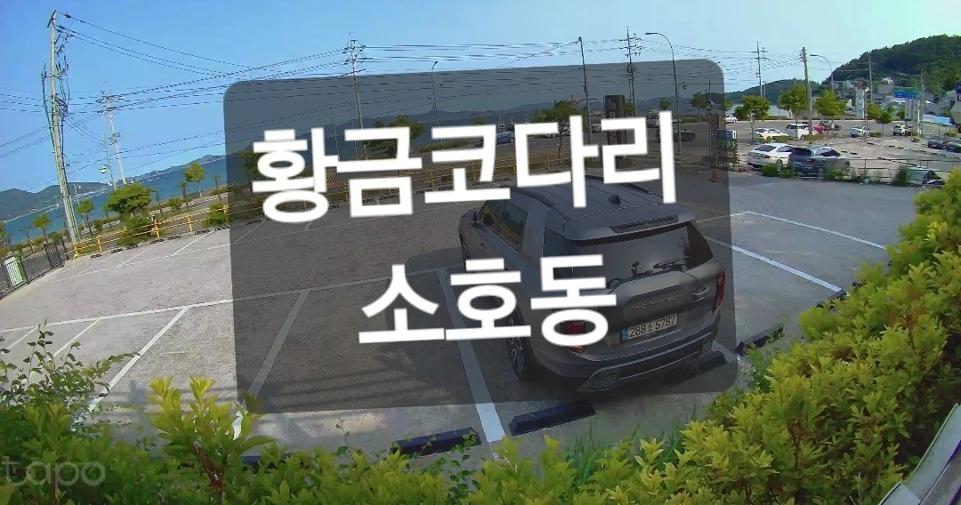 홀서빙또는 주방 직원. 모십니다