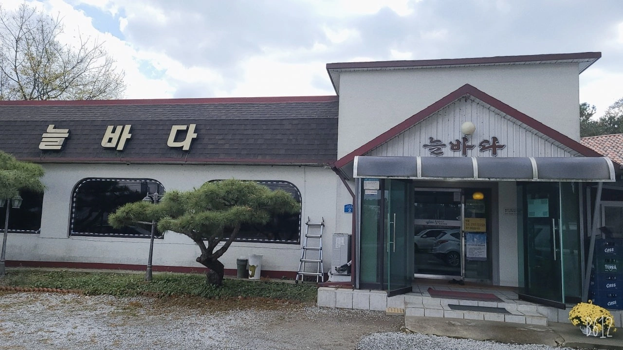 주방보조 및 설거지 구합니다