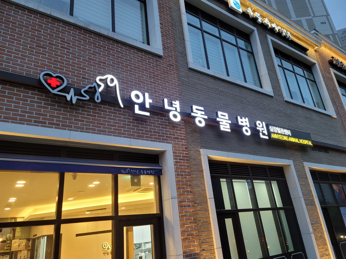 동물병원 주 1일 아르바이트 구합니다