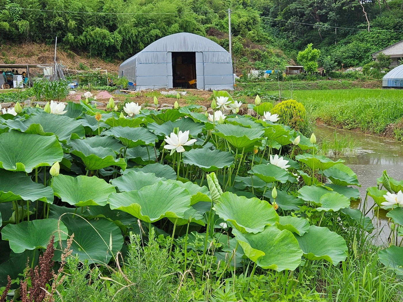 함께 일하실 간호조무사 구합니다 (광천)