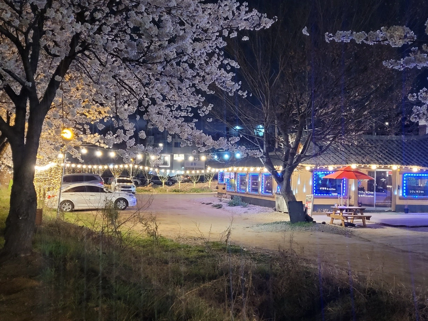 함께 일하실분 구합니다