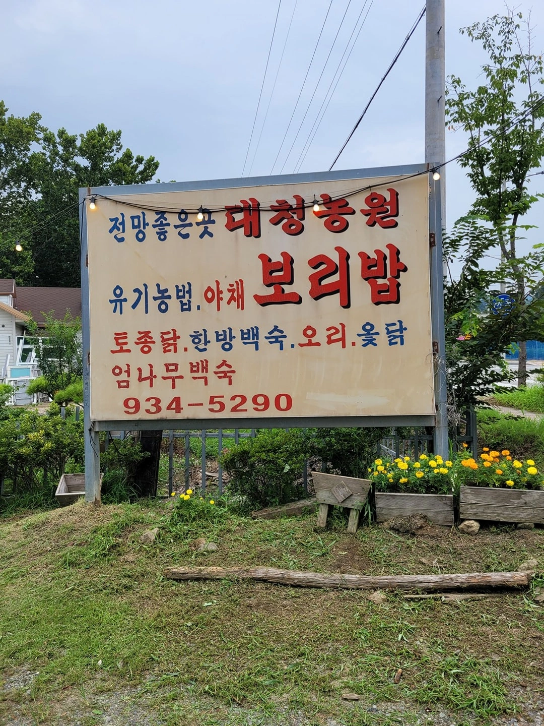 주말 주방 보조 구합니다