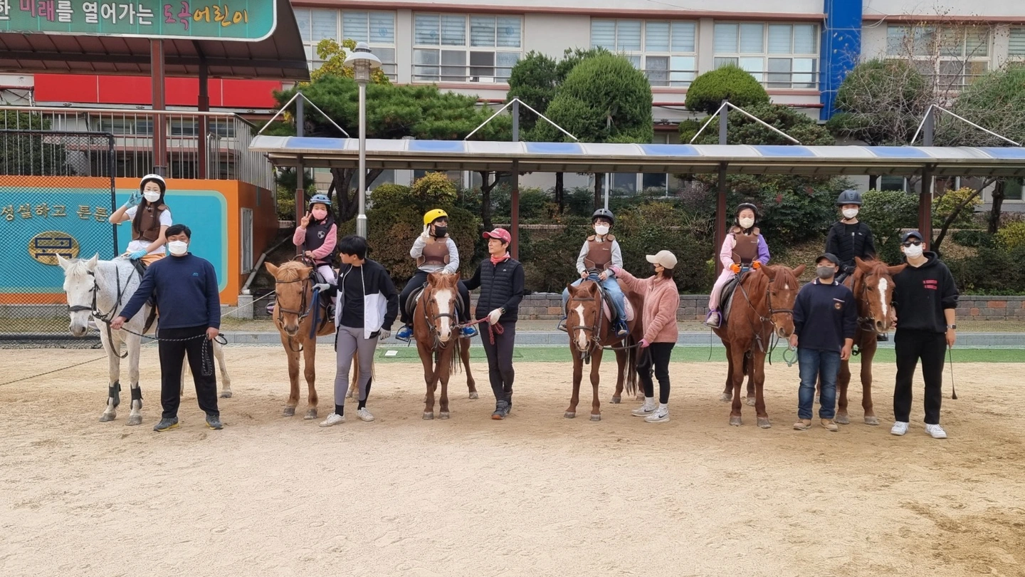 승마보조강사 구인 도곡.압구정.언주초.성수초