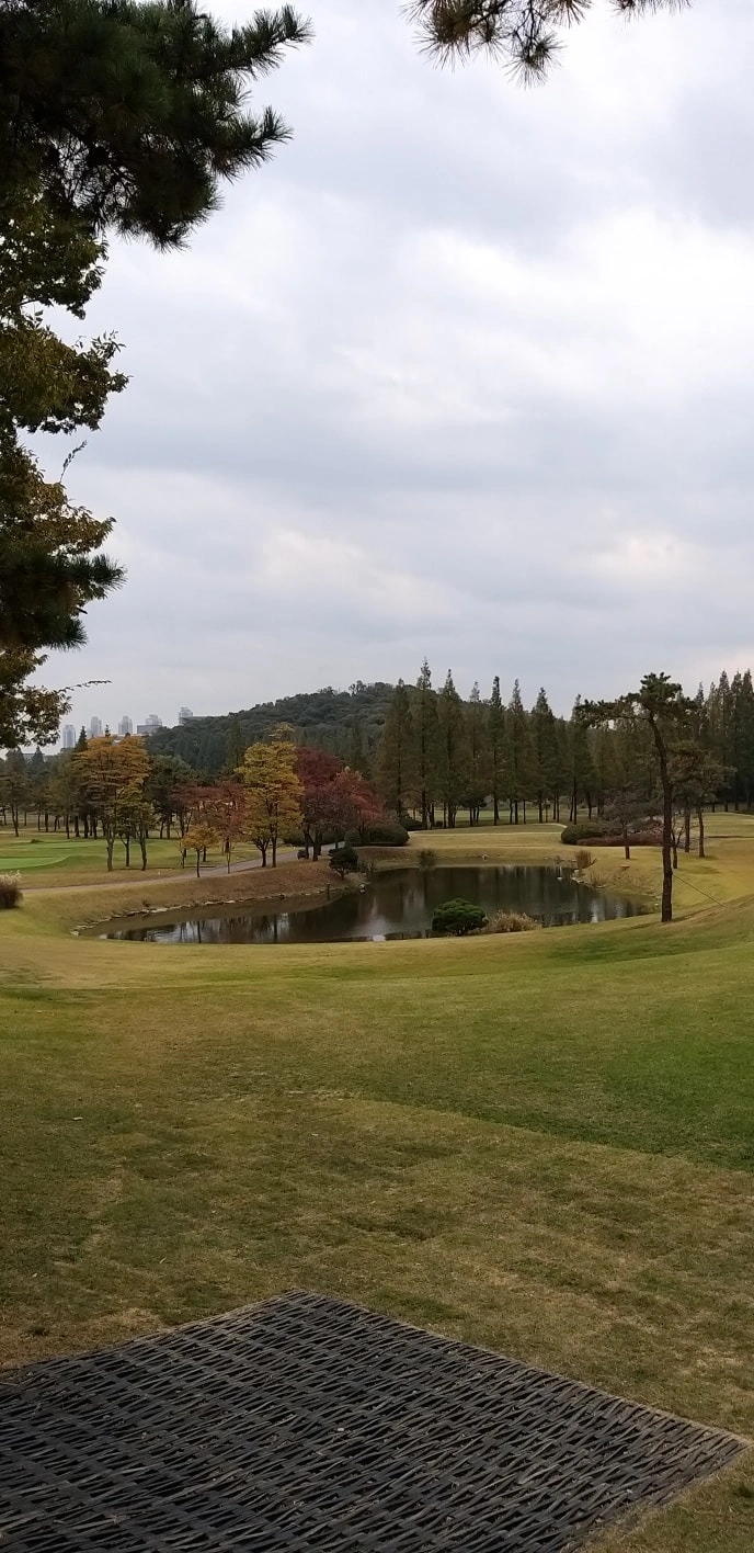 인천국제 골프장(캐디)구합니다.