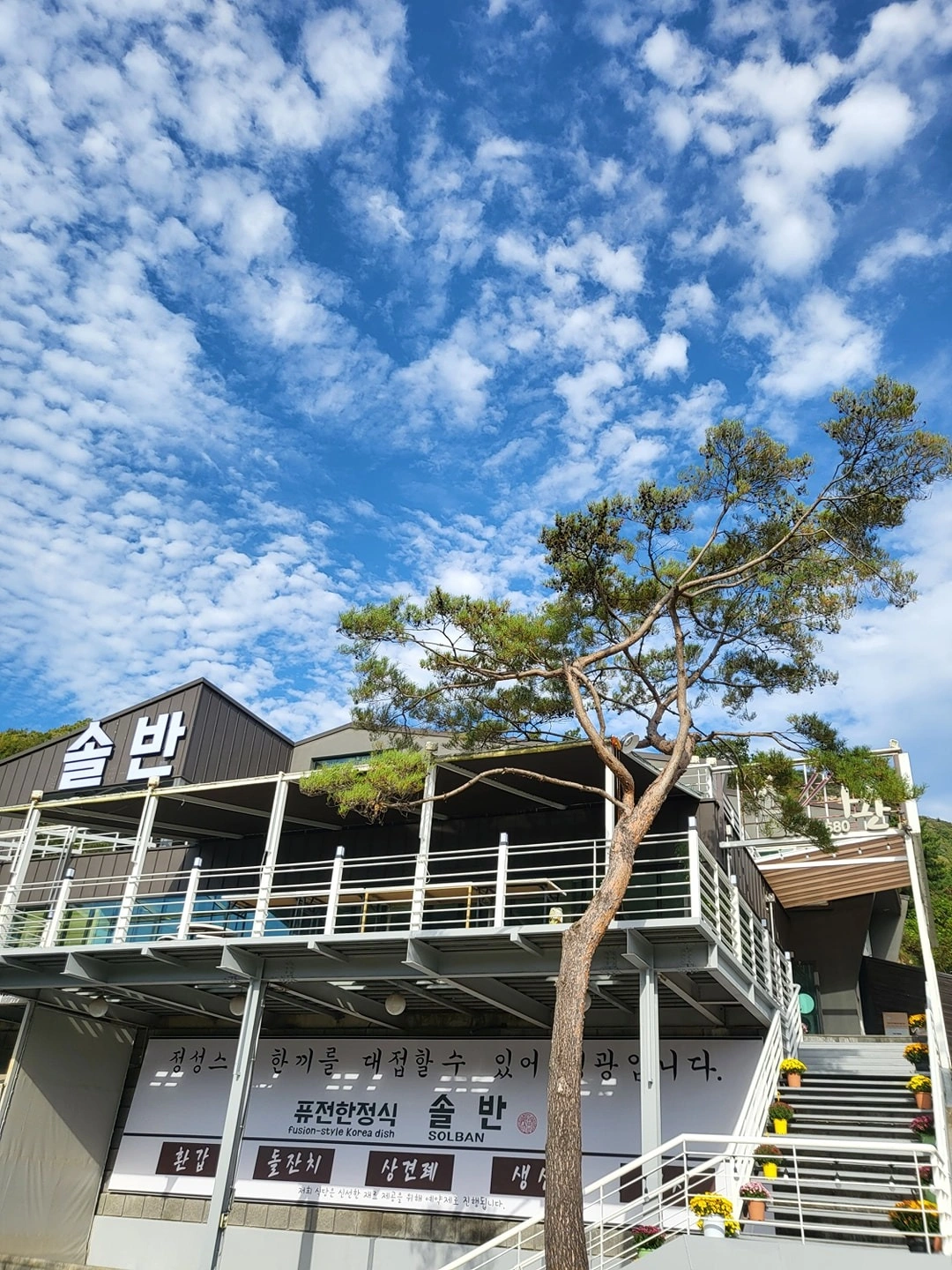 솔반한정식에서 오늘 하루 설거지해주실분
