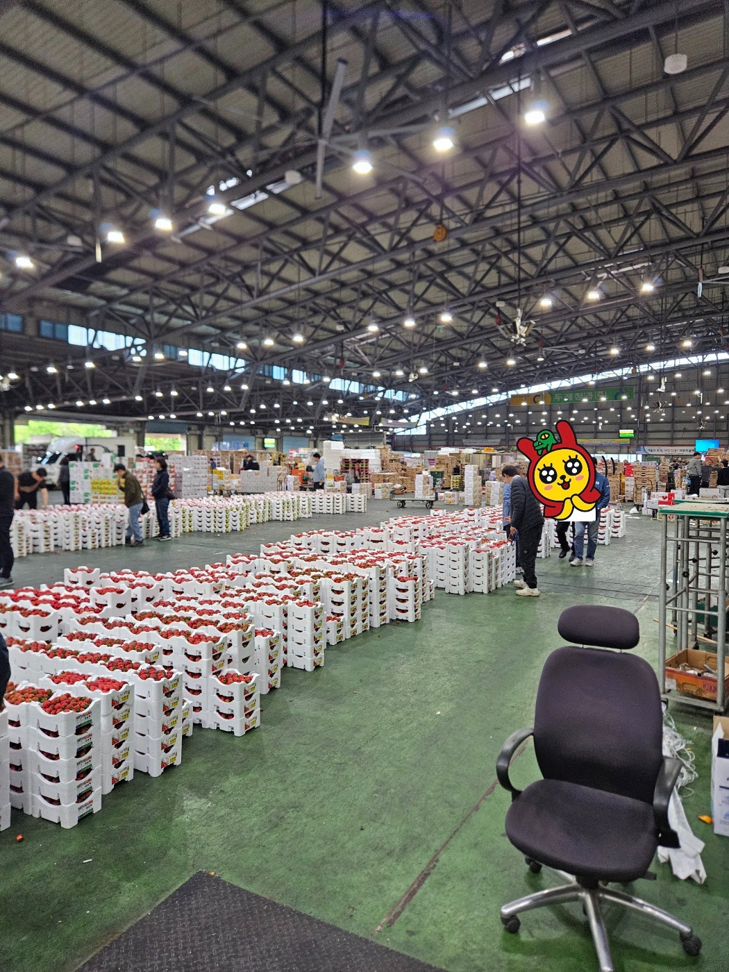 서부 농산물공판장 물건 수거 및 배송 직원 구합니다. 공고 썸네일