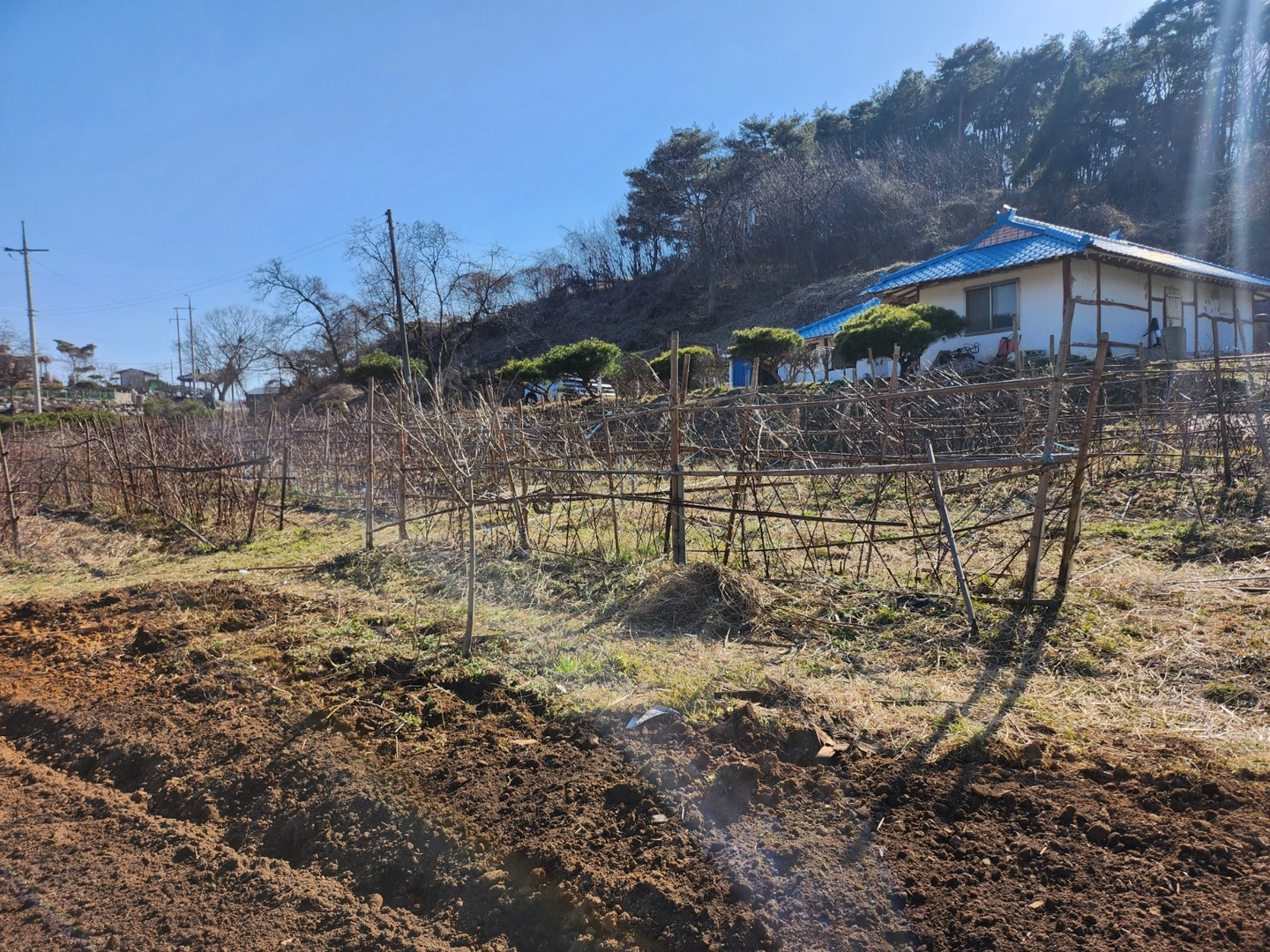 밭일하실분 김매기