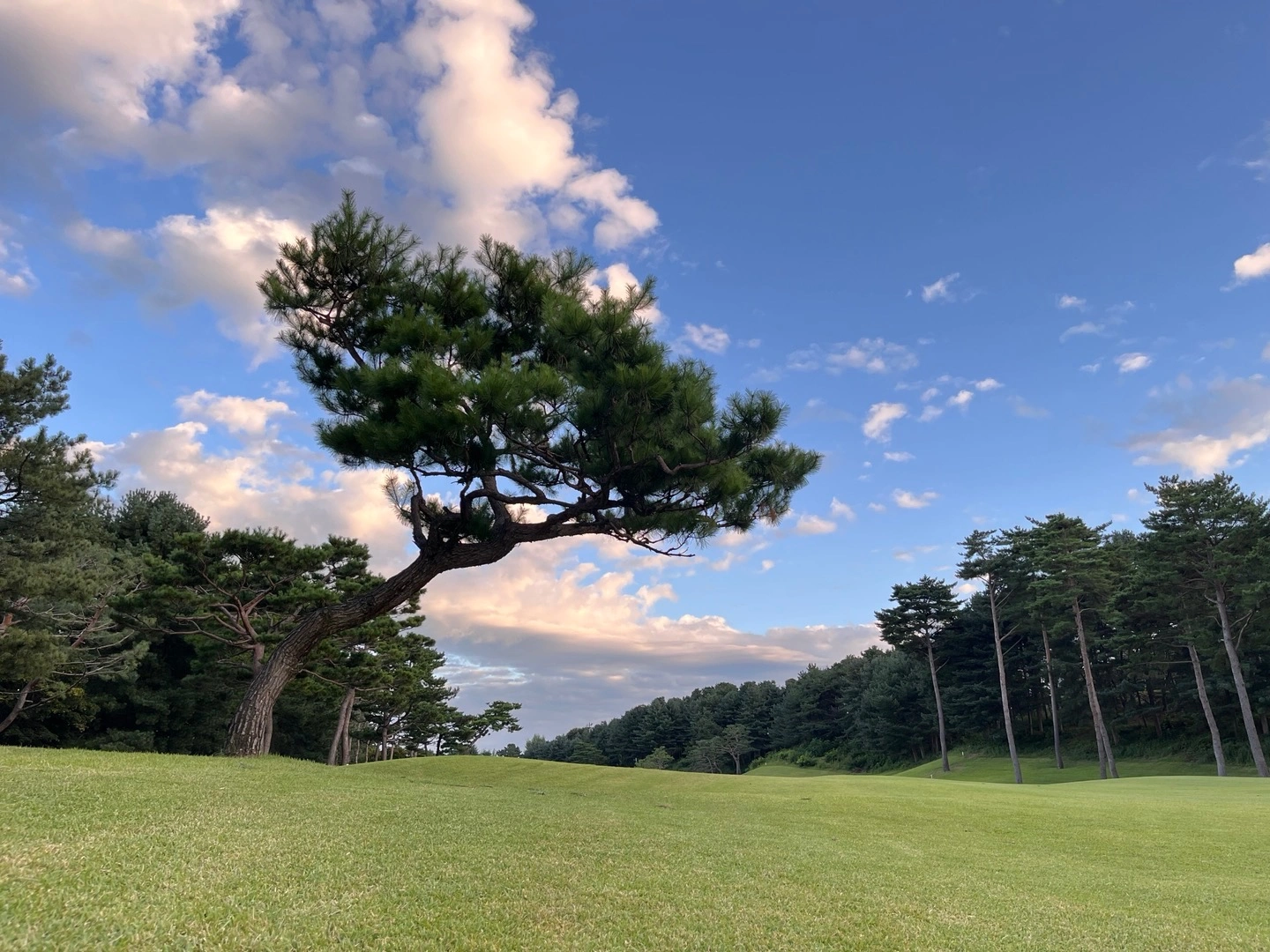 솔모로cc시설(기계,전기,설비)상하차직원 모집
