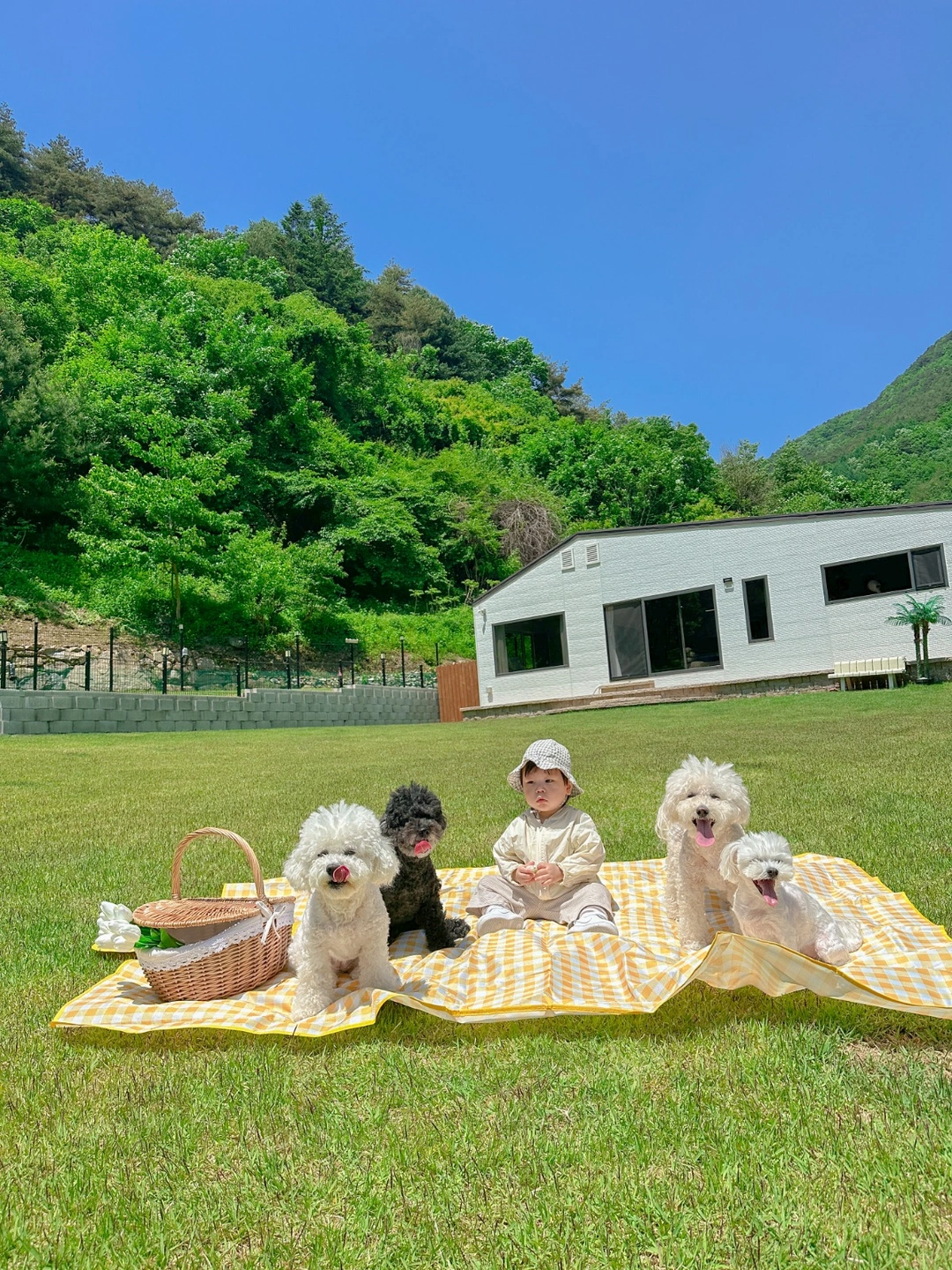 (상시)평창읍 애견독채펜션 청소 알바 상시 구합니다.