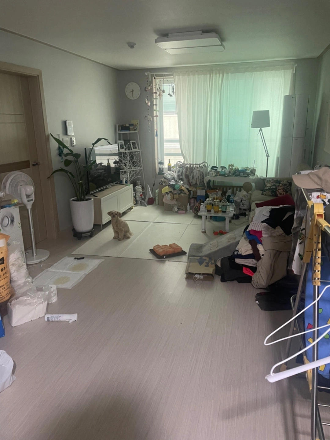 집정리 가사도우미 깔끔하고 꼼꼼하신분