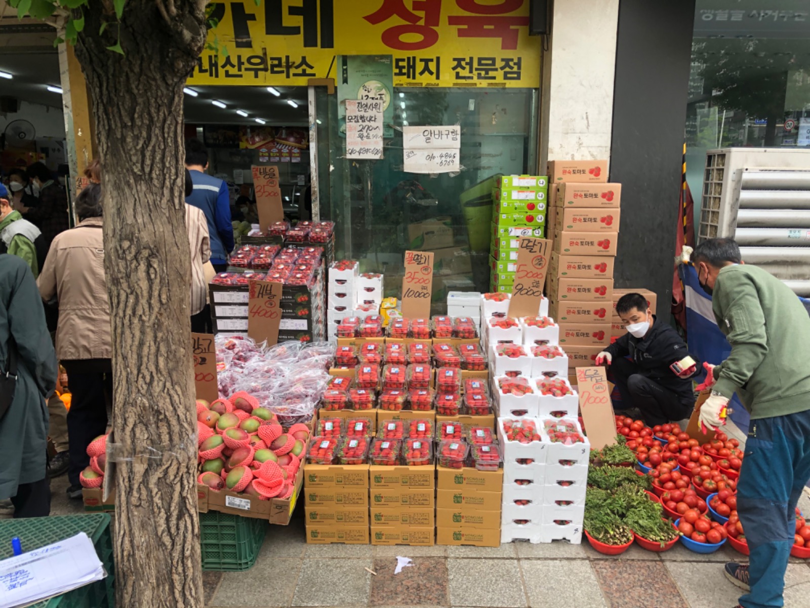 엄가네 막퍼주는집 직원:아르바이트모집합니다 공고 썸네일