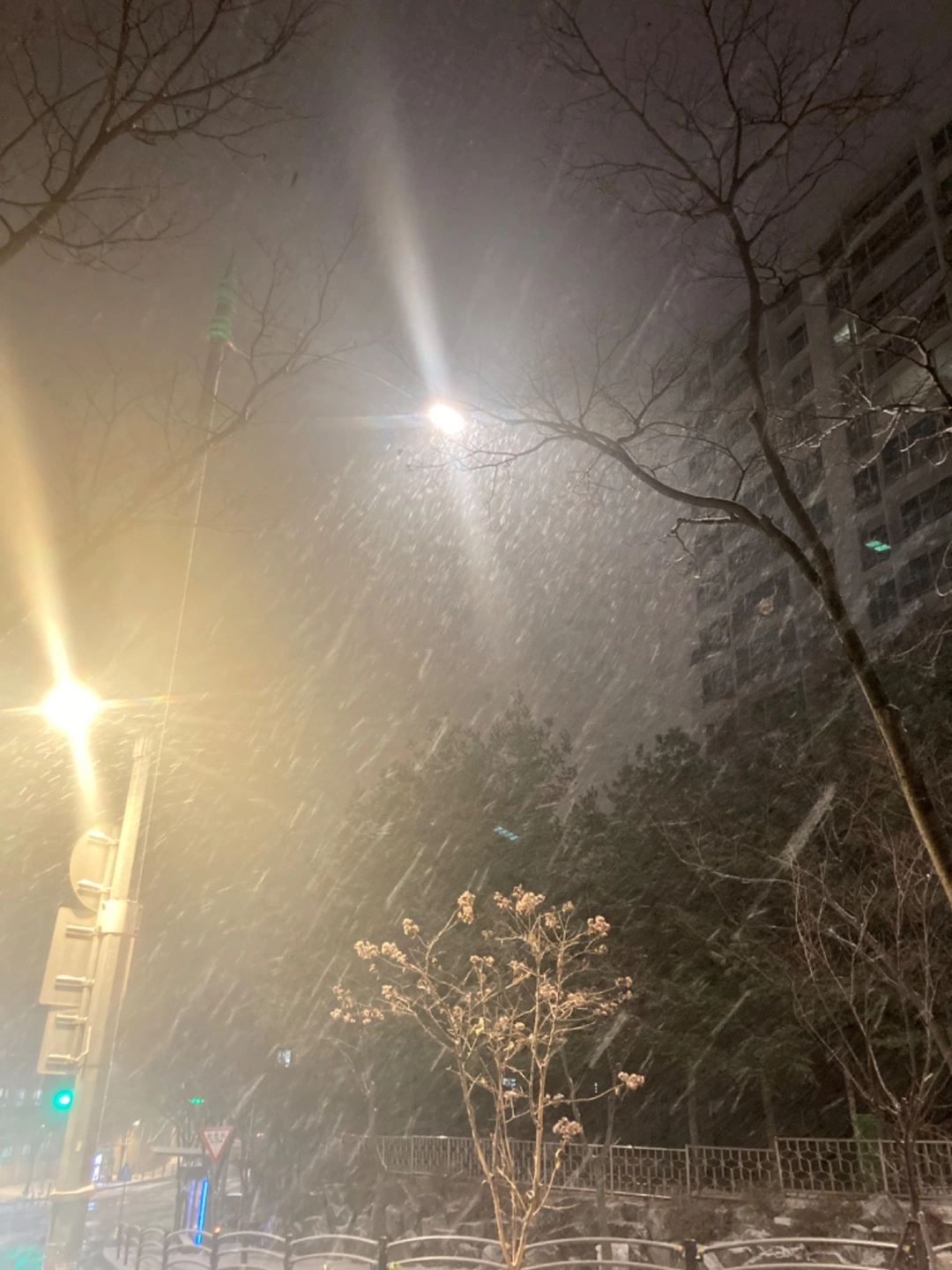 예비고1 여학생 수학 과외 선생님(여성)구해요!