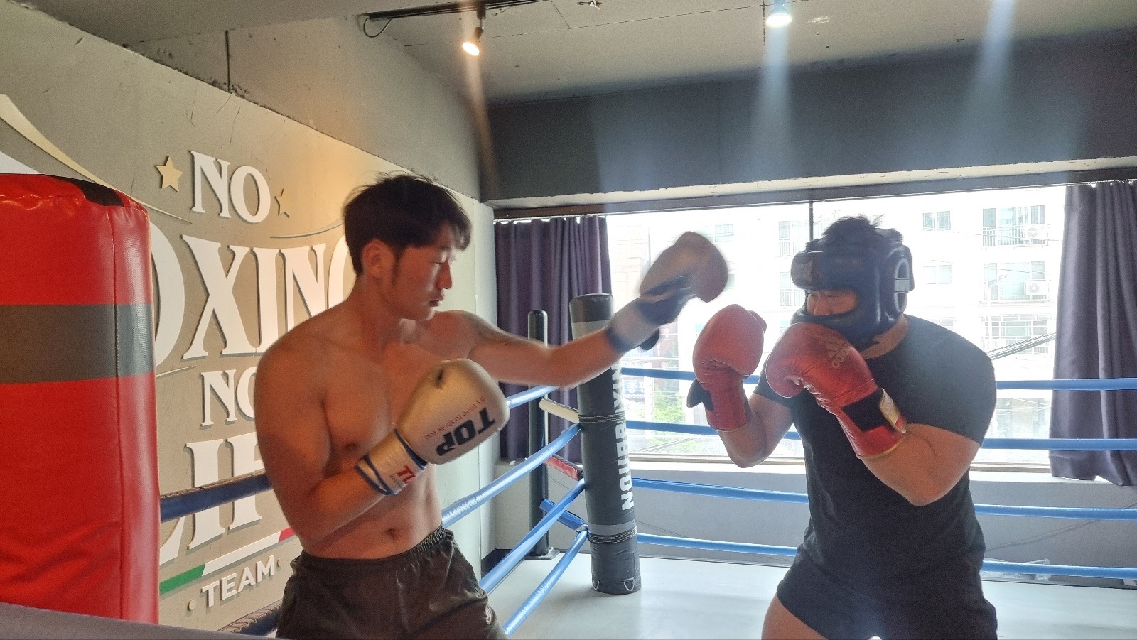 팀 레드폭스 복싱&MMA picture 2