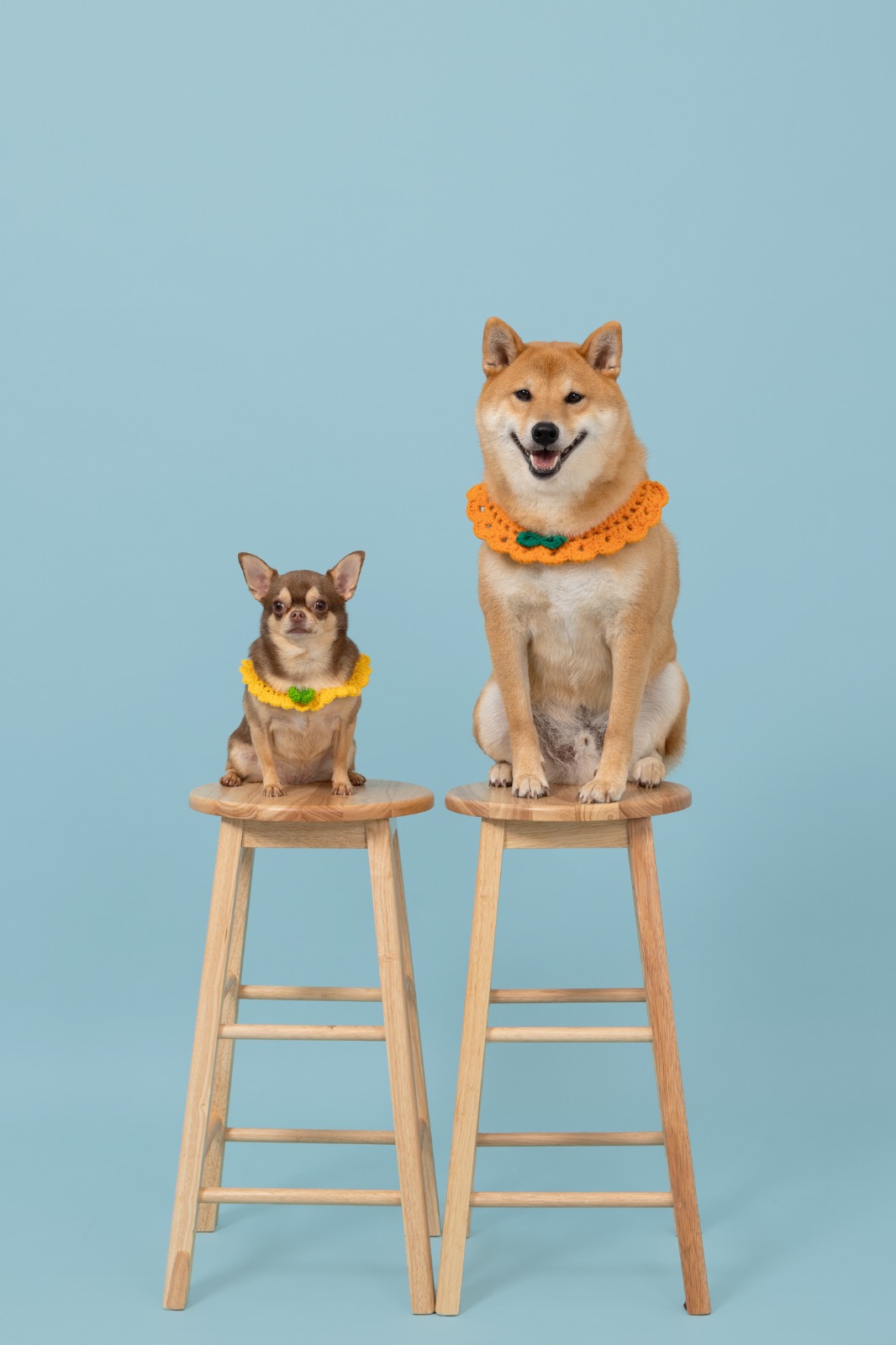 먼데이선데이 스튜디오 picture 1