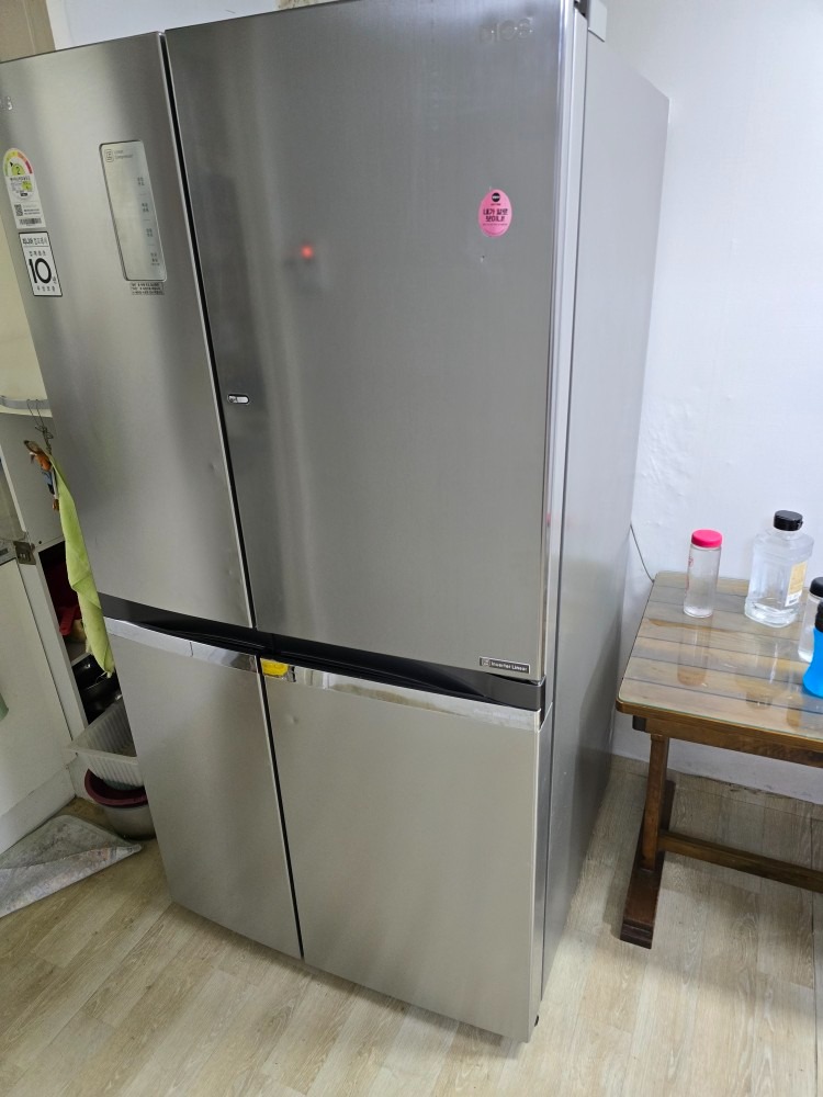 보라용달  picture 8