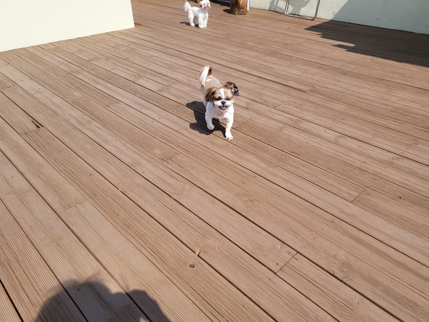 개편한카페 picture 3