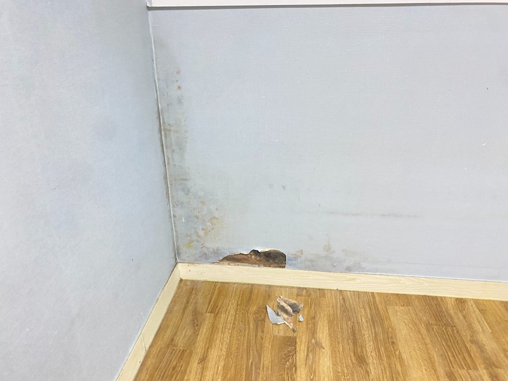 탄탄도배 picture 2