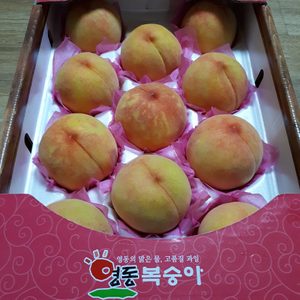 영동복숭아(말랑이/딱딱이) 4.5kg ● 한상자 가득
