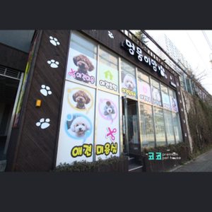 멍뭉이맘 애견샵