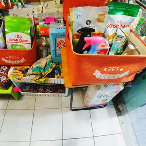 애견미용호텔용품(주말영업함)