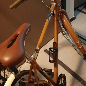 성인 자전거