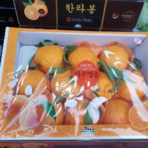 신대방최저가 과일가게 입니다